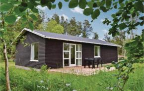 Gorgeous Home In Hirtshals With Wifi
